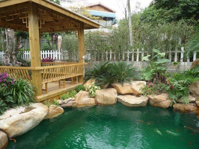 短视频平台内容更新观察